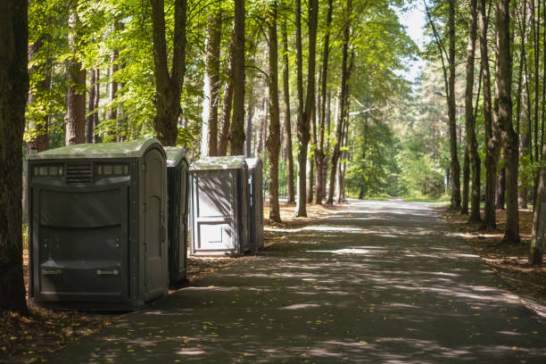 Best Porta potty rental for parties  in Baldwin, MI